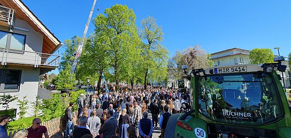 Maibaum
                                                    Aufstellen